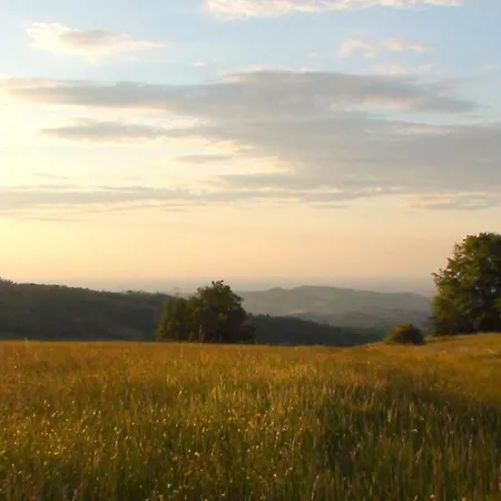 La Collina Дзокка