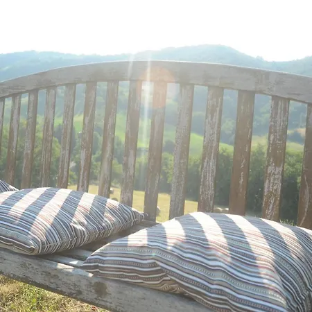La Collina * Zocca