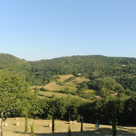 La Collina