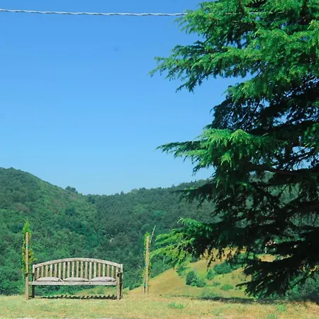 La Collina Zocca