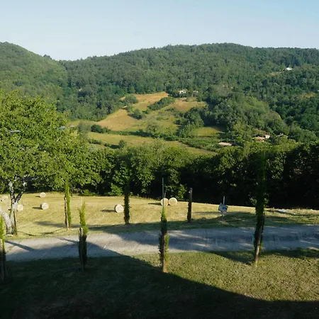 La Collina Zocca