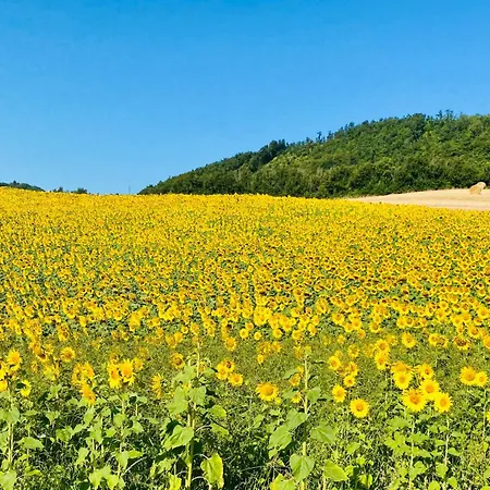 La Collina *