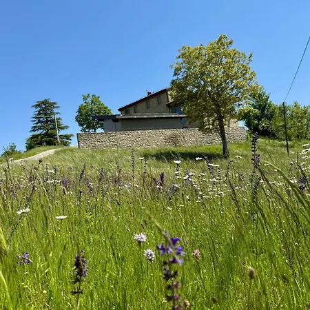 La Collina