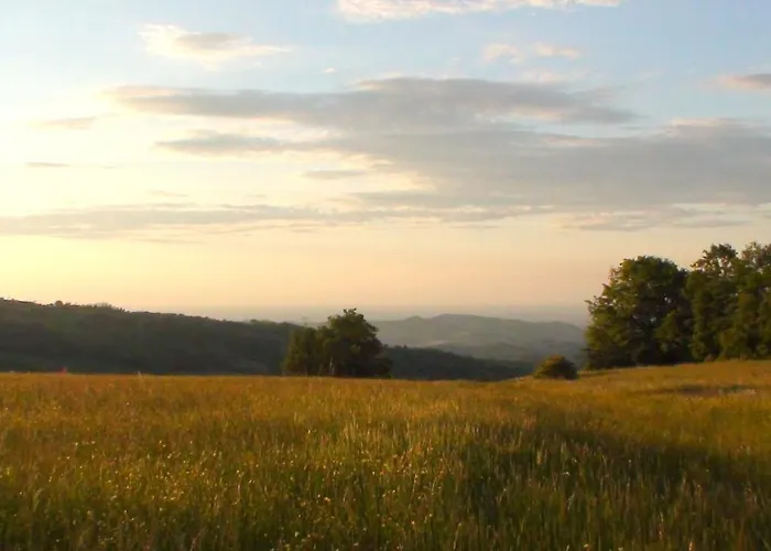 La Collina Zocca