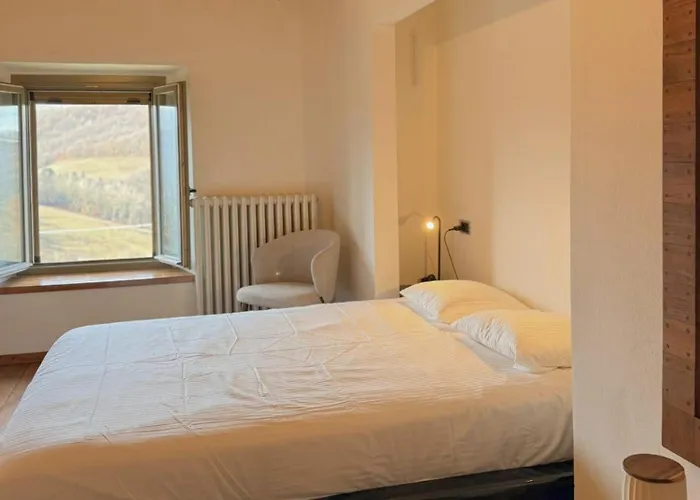 La Collina * Zocca